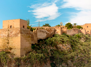 Visita Alcazaba